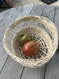 two homegrown tomatoes in a handmade basket